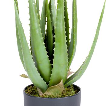 Preview: Artificial aloe vera plant in black plastic pot, height 45 cm