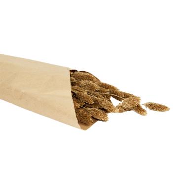 Preview: Getrockneter Phalaris-Bund Gold - Natur Deko für Vase, Gestecke & Kränze - 250g Bund, 50-60 cm Länge - Natürliche Heimdekoration
