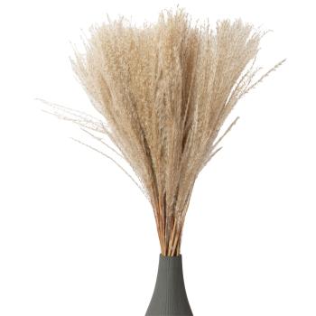 Preview: Pampasgras Natur Fein Getrocknet - 50 Zweige ca. 90 cm - Für stilvolle Raumdeko Gestecke Kränze - Natürliche Boho Wohnzimmer Deko