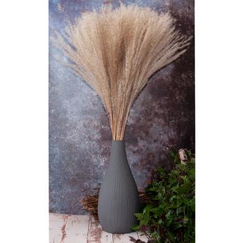 Preview: Pampasgras Natur Fein Getrocknet - 50 Zweige ca. 90 cm - Für stilvolle Raumdeko Gestecke Kränze - Natürliche Boho Wohnzimmer Deko