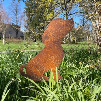 Preview: Gartenstecker Welpe aus Metall - Rostbraun & 30cm Länge - Dekoration für Pflanzenkästen, Beete & Garten - Landhaus-Optik mit Erdspiess