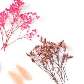 Preview: Trockenblumen-Set Natur - Rosafarbene Blüten für stilvolle Ganzjahres-Deko - 30g Bouquet, pflegeleicht, für Vasen Kränze Gestecke