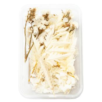 Preview: Natürliches Trockenblumen-Set - Stilvolle & vielseitige Deko für Zuhause - Blüten Bouquet Weiss & Beige - Ganzjähriger Blickfang 30g