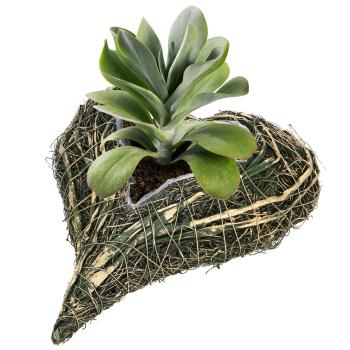 Preview: Natur-Pflanztopf Herz - Dekoschale aus Ästen geflochten - Grün/Gold, 25x20x5 cm - Für Innen & Aussen - Umweltfreundlich & vielseitig einsetzbar