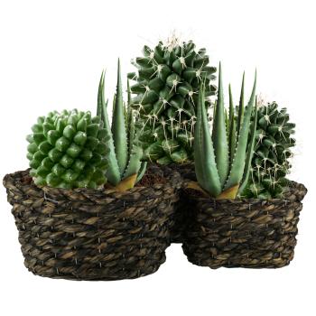 Preview: set de 3 pots naturels en herbe tressée, cache-pots avec film intérieur, brun foncé