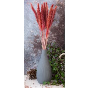 Preview: Trockenblumen 2er-Set - Pampasgras bordeaux & weisse Distel - Natur Deko für Zuhause - 5 Distel- & 15 Pampasgras-Zweige - 70/75cm Länge