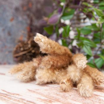 Preview: 3er-Set Trockenblumen Pampasgras natur - weisse Disteln fein & grob ca. 70-77cm lang - vielseitige Blumendeko für Zuhause & Gestecke