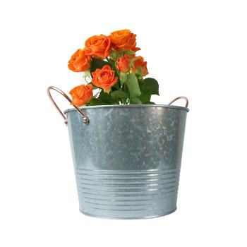 Preview: 2er-Set Zinktopf mit zwei Metallgriffen, Zinkeimer Landhausstil, Ø 22,5 cm