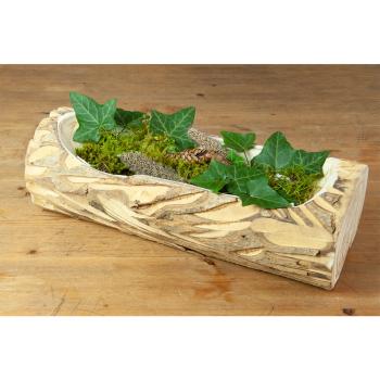 Preview: Paulownia Holz Dekoschale aus einem Stück gefertigt - Natur Holzschale mit Naturrand & einzigartiger Maserung - 35x10x12 cm - Ideal zum Bepflanzen