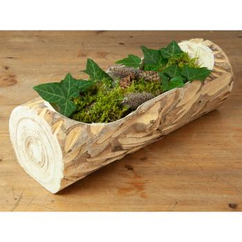 Preview: Paulownia Holz Dekoschale aus einem Stück gefertigt - Natur Holzschale mit Naturrand & einzigartiger Maserung - 35x10x12 cm - Ideal zum Bepflanzen