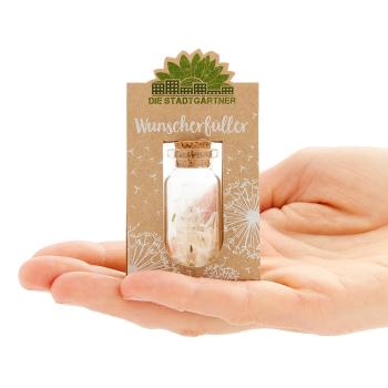 Preview: Wunscherfüller Glas mit Korkverschluss - Natürliche Pusteblume, handgefertigt in Deutschland - Ideales Geschenk Hochzeit, Geburtstag, Taufe - Ø2.1x5.2cm