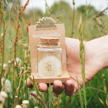 Preview: Pissenlit porte-bonheur, flacon avec bouchon en liège, fleur naturelle, grand