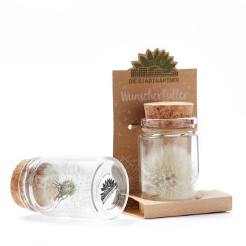Preview: Pissenlit porte-bonheur, flacon avec bouchon en liège, fleur naturelle, grand