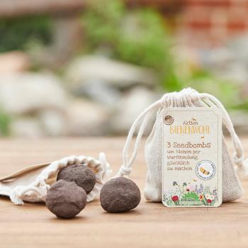 Preview: Bombe di semi Bee Wellbeing Set di 3, Bombe di semi Prato colorato con semi diversi