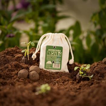 Preview: Bombe di semi per api Set di 8, bombe di semi con 38 semi diversi