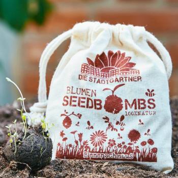 Preview: Bombe di semi per api Set di 8, bombe di semi con 38 semi diversi