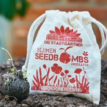 Preview: Bombe di semi di campo di grano fiorito Set di 8, bombe di semi con 21 semi diversi