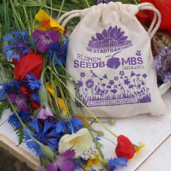 Preview: Prato colorato per le farfalle: set di 8 bombe di semi con 39 tipi di semi in un sacchetto di iuta - un paradiso per farfalle e api - da seminare semplicemente