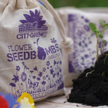 Preview: Prato colorato per le farfalle: set di 8 bombe di semi con 39 tipi di semi in un sacchetto di iuta - un paradiso per farfalle e api - da seminare semplicemente