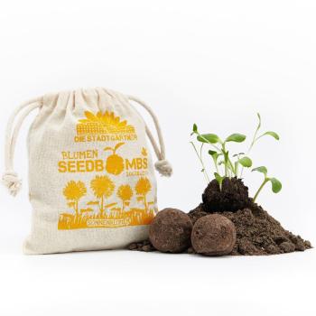 Preview: Set di 8 bombe di semi di girasole, bombe di semi con 5 varietà di girasole diverse