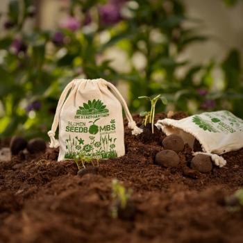 Preview: Set di 8 bombe di semi di prato selvatico, bombe di semi con 54 tipi diversi di semi