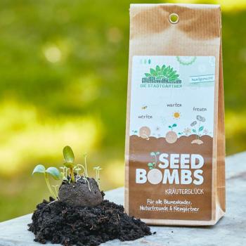 Preview: Set di 5 bombe di semi per la felicità delle erbe, bombe di semi con 6 diverse erbe da cucina