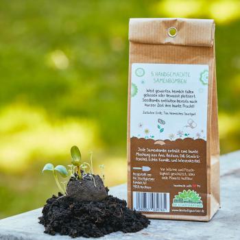 Preview: Set di 5 bombe di semi per la felicità delle erbe, bombe di semi con 6 diverse erbe da cucina