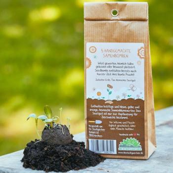 Preview: Set di 5 bombe di semi di girasoli, bombe di semi con 5 diverse varietà di girasole