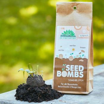 Preview: Set di 5 bombe di semi di girasoli, bombe di semi con 5 diverse varietà di girasole
