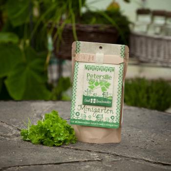 Preview: Kit de semis Persil, graines avec terreau, instructions et tuteur
