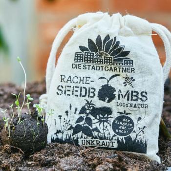 Preview: Set di 8 bombe di semi di erbacce, bombe di semi con 19 varietà di erbacce diverse