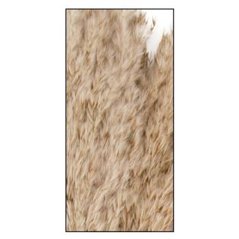 Preview: Pampasgras 10er-Bund - Trockenblumen Deko in Vasen/Gestecken - Natur - 75 cm Länge - Federleicht - Langlebig - Für Esszimmer, Wohnzimmer, Arbeitszimmer