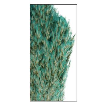 Preview: Pampasgras 10er-Bund - Natürliche Trockenblumen Deko für Vasen & Gestecke - Hellgrün, 75cm lang - Federleicht - Lange Haltbarkeit