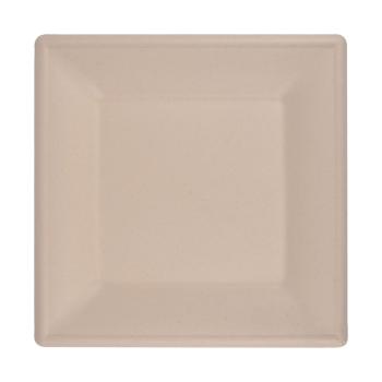 Preview: Zuckerrohr Teller eckig 12er-Set - Biologisch abbaubar kompostierbar - Nachhaltig für Party Catering Mikrowelle - 15x15cm heiss & kalt