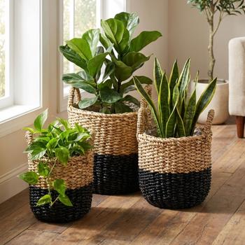Preview: Decorative set of 3 seagrass plant baskets, black-brown - Rustic planters with handles & inner foil, various sizes - Natural charm