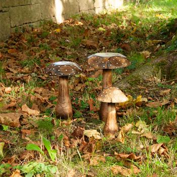 Preview: Set de 3 champignons décoratifs en bois massif, sculptures en bois de manguier - Différentes tailles, décoration en bois naturelle et de haute qualité Preview: Set de 3 champignons décoratifs en bois massif, sculptures en bois de manguier - Différentes tailles, décoration en bois naturelle et de haute qualité