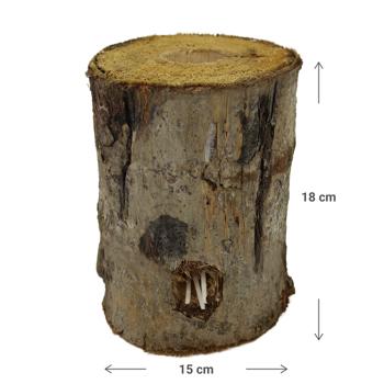 Preview: Schwedenfeuer Finnenfackel - Baumfackel Garten Terrasse Balkon - Dekoration Echtholz Pappel mit Naturrinde - Ø 15 x H 18 cm - Mit Docht zum Anzünden