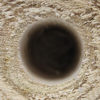 Preview: Torche suédoise avec socle en béton - bûche scandinave pour le jardin, Ø 12 x 18 cm