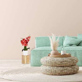 Preview: Blumenhocker naturbelassenes Tannenholz - Pflanzenständer Schicker zeitloser Hocker - Ø 20 cm - Ideal für Ihre Lieblingspflanzen Deko