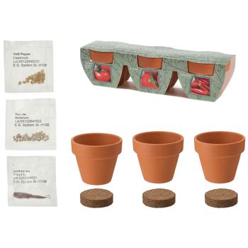 Preview: Kit de plantation avec pots en terre cuite et graines, pots de plantation