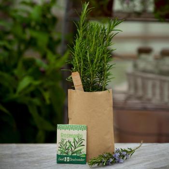Preview: Set de graines de romarin, graines avec terreau, instructions, bâtonnets de plantation
