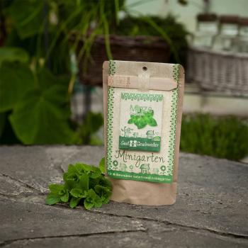 Preview: Kit de graines de menthe, graines avec terreau, instructions, bâtonnets de plantation