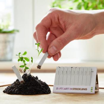 Preview: 10 bâtonnets à planter – jardin odorant