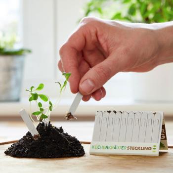 Preview: Boutures d‘herbes aromatiques, carte avec 10 bâtonnets de graines