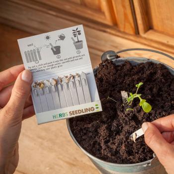 Preview: Boutures d‘herbes aromatiques, carte avec 10 bâtonnets de graines