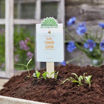 Preview: Salutations de semis - Hello sunshine, mélange de tournesols