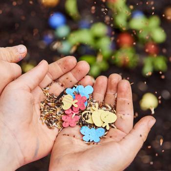 Preview: Confettis de graines colorés pour enfants et adultes, régal pour les abeilles