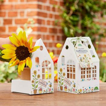 Preview: Small sunflower greenhouse, growing set