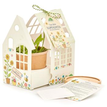 Preview: Small sunflower greenhouse, growing set