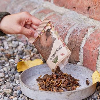 Preview: Mangime per ricci “Piccolo pasto per ricci“